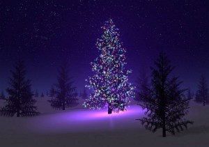 interactive christmas cards EmJD